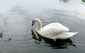 The Lake House, Modern Luxury, Woking